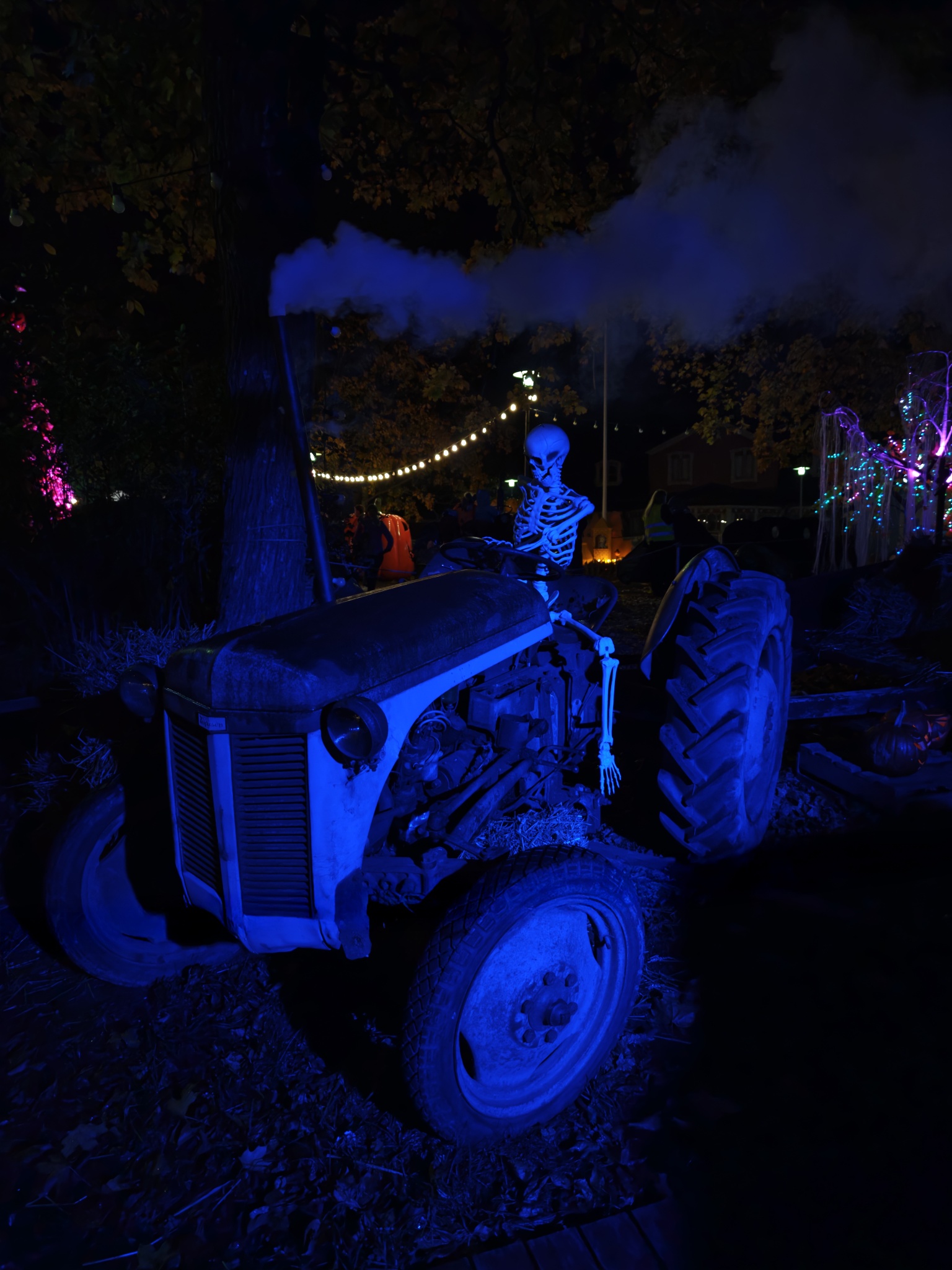 IMG 20251014 191940 copy